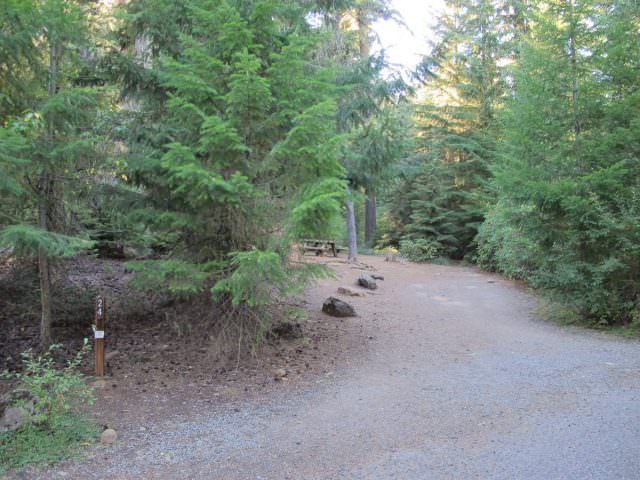 Hoodview Campground Site #24