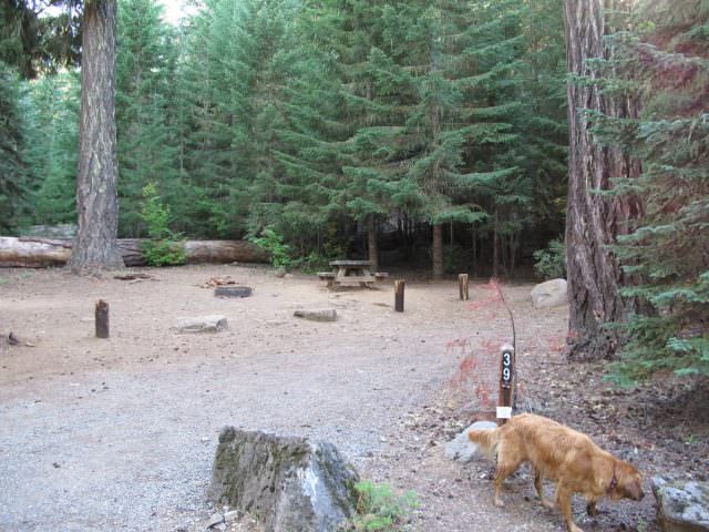 Hoodview Campground Site #39