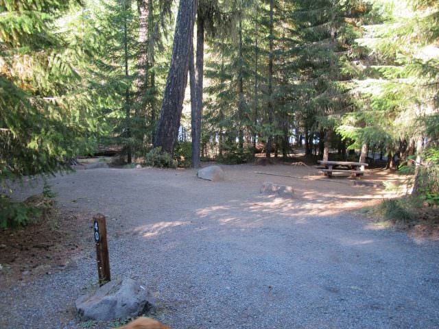 Hoodview Campground Site #40