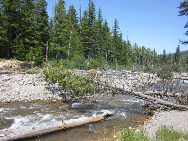 Not swimming friendly