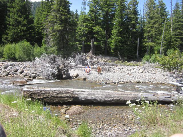 Beach Island in the sun