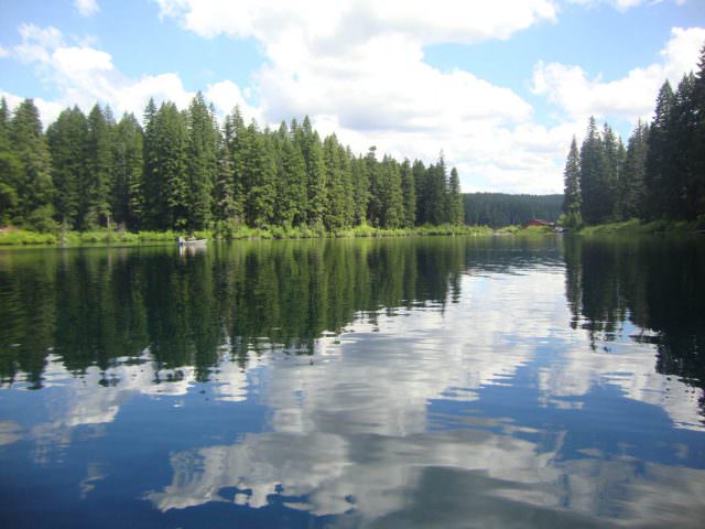 Calm Water on Lake