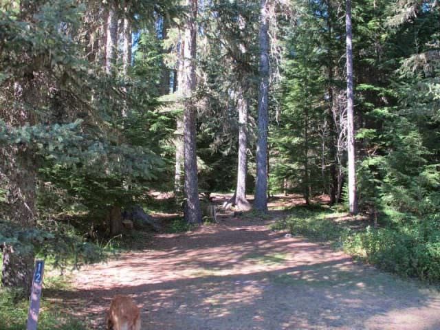 Little Crater Lake Site#12