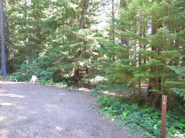 Little Crater Lake Site#16