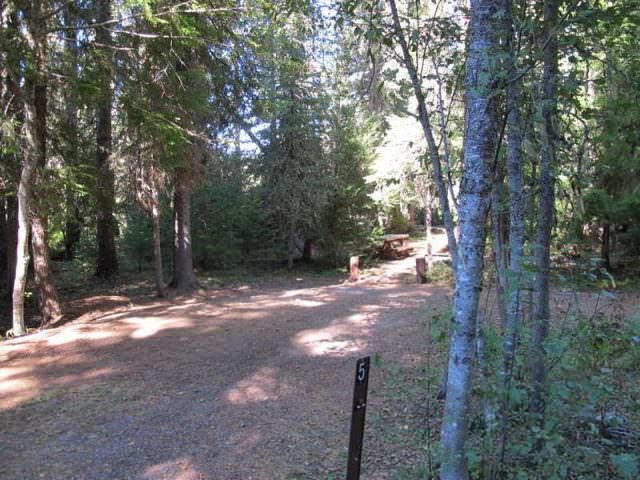 Little Crater Lake Site#5
