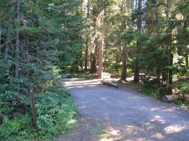 Little Crater Lake Site#6