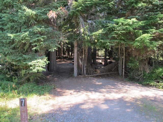 Little Crater Lake Site#7