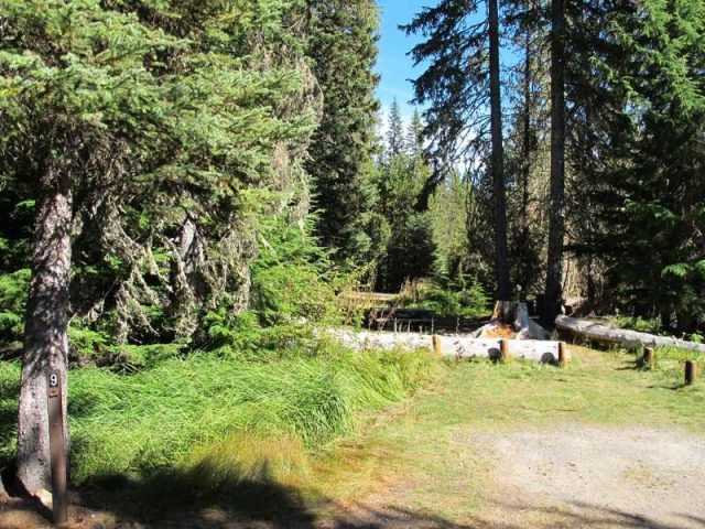 Little Crater Lake Site#9
