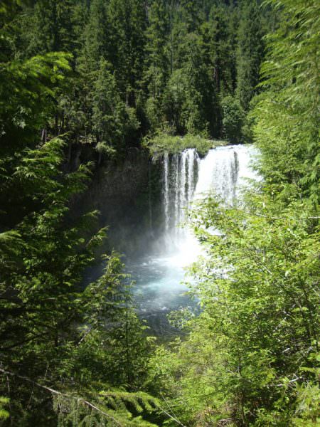 Waterfall on the McKenzie River