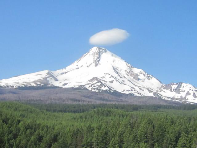 You are currently viewing Five Things to Do on Mount Hood this Summer