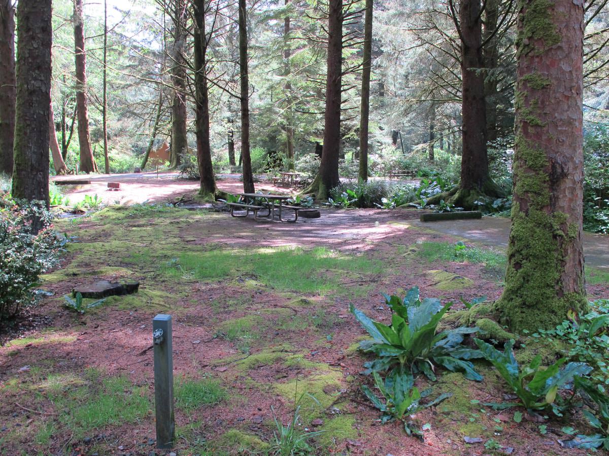 Beverly Beach State Park and Campground, Oregon Camping