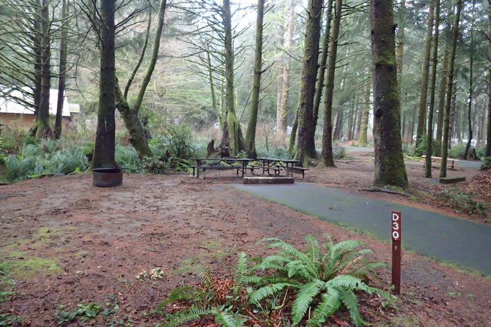 Beverly Beach State Park and Campground, Oregon Camping