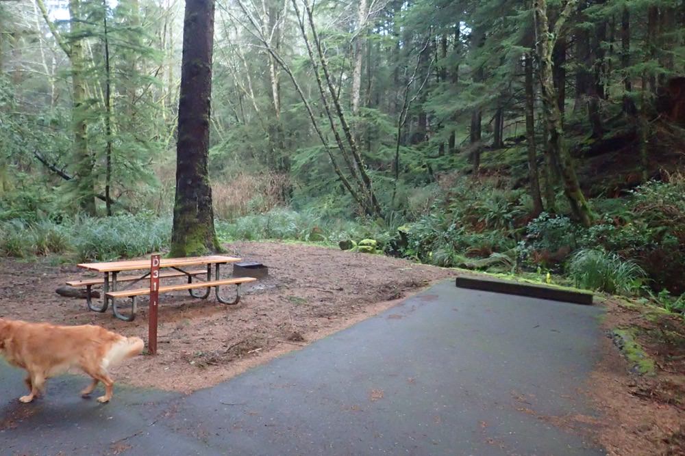 Beverly Beach State Park and Campground, Oregon Camping
