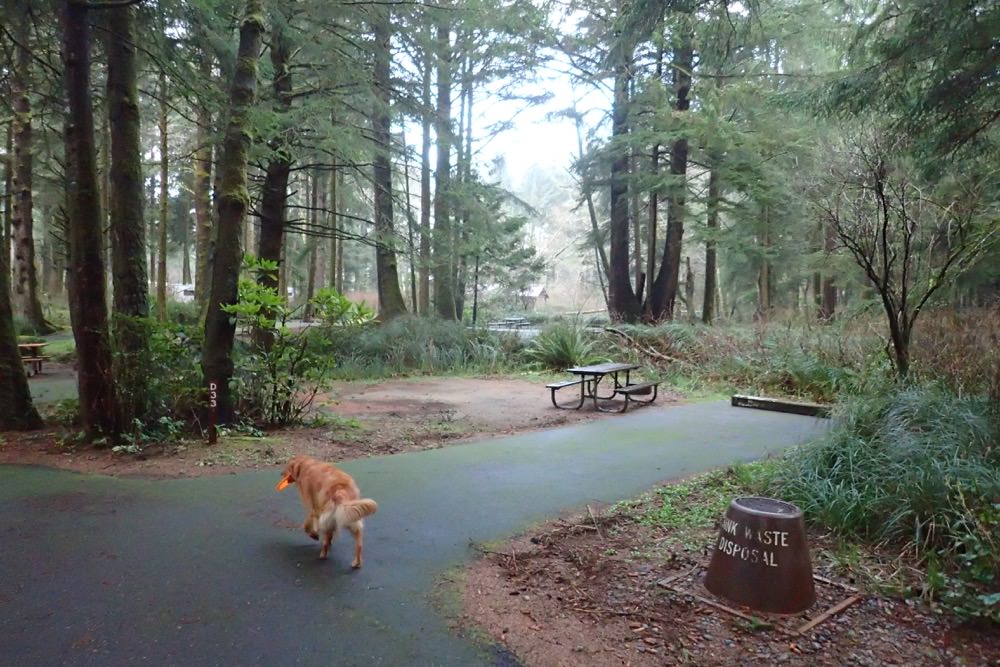 Beverly Beach State Park and Campground, Oregon Camping