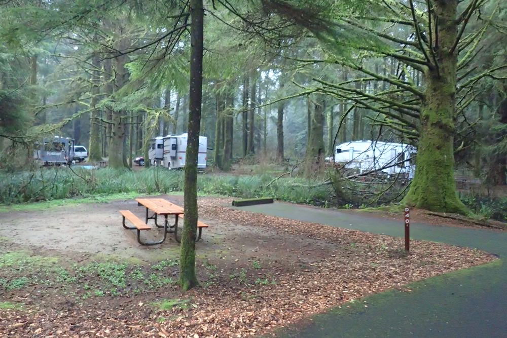 Beverly Beach State Park and Campground, Oregon Camping
