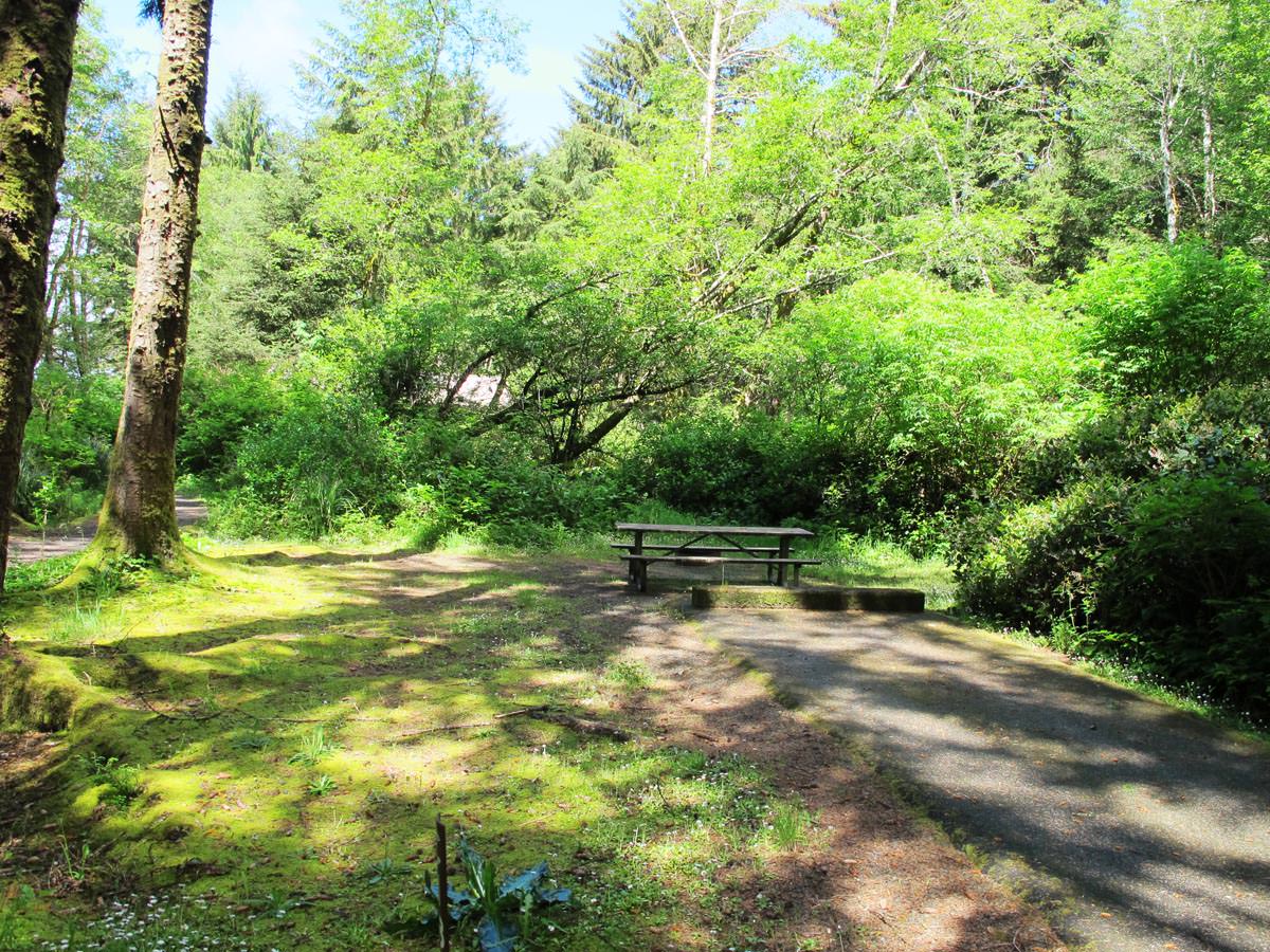 Beverly Beach State Park and Campground, Oregon Camping