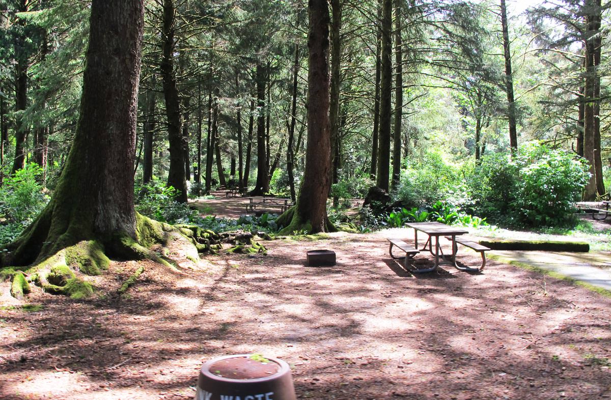 Beverly Beach State Park and Campground, Oregon Camping