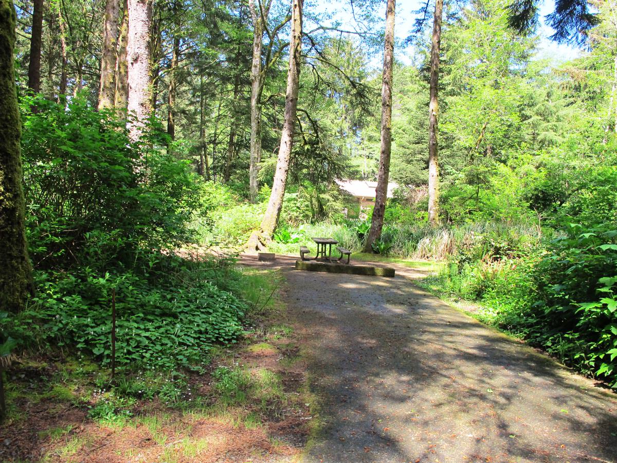 Beverly Beach State Park and Campground, Oregon Camping
