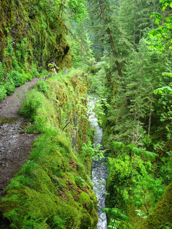 Eagle Creek Tunnel Falls Hike Columbia River Oregon