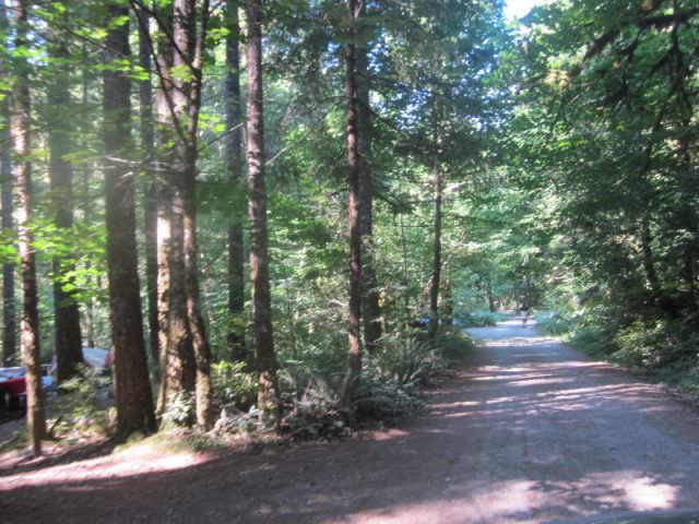 Road through Campground
