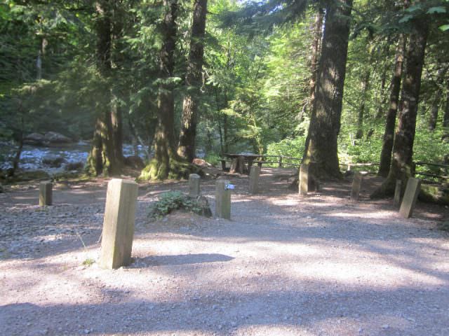 Shady Cove Site #12 2