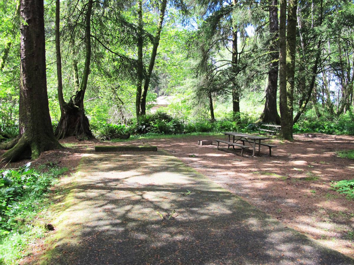 Beverly Beach State Park and Campground, Oregon Camping