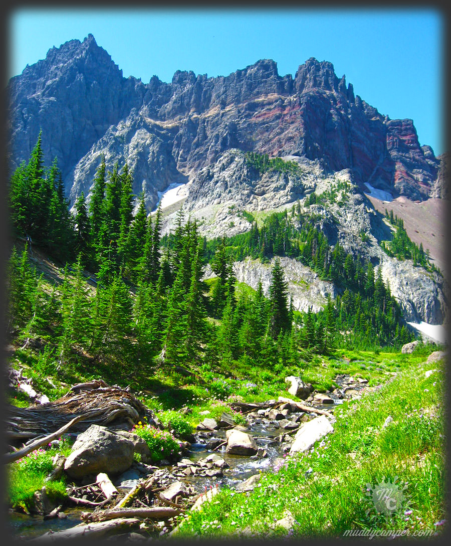 Canyon Creek Meadows - Canyon Creek MeaDows
