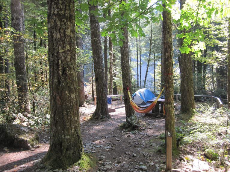Shady Cove Muddy Camper