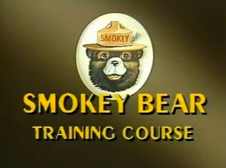 Read more about the article A History of Smokey The Bear