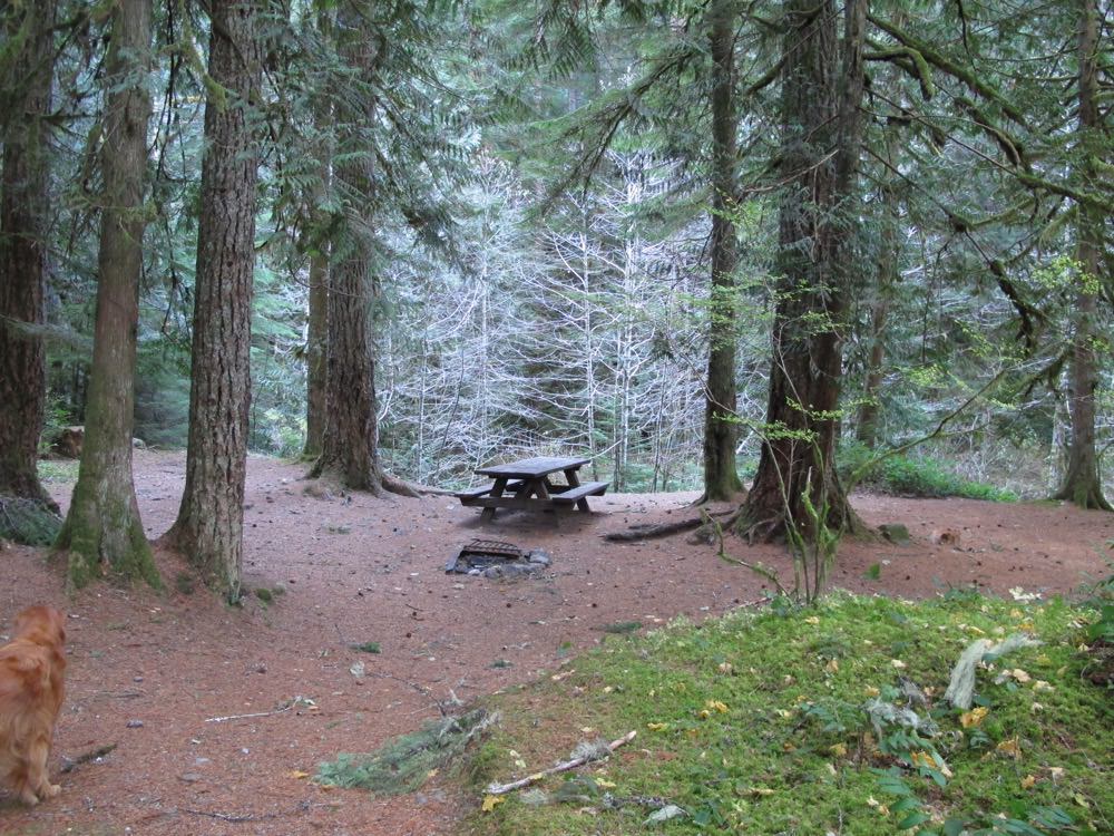 Camp Creek Campground Mount Hood, Oregon