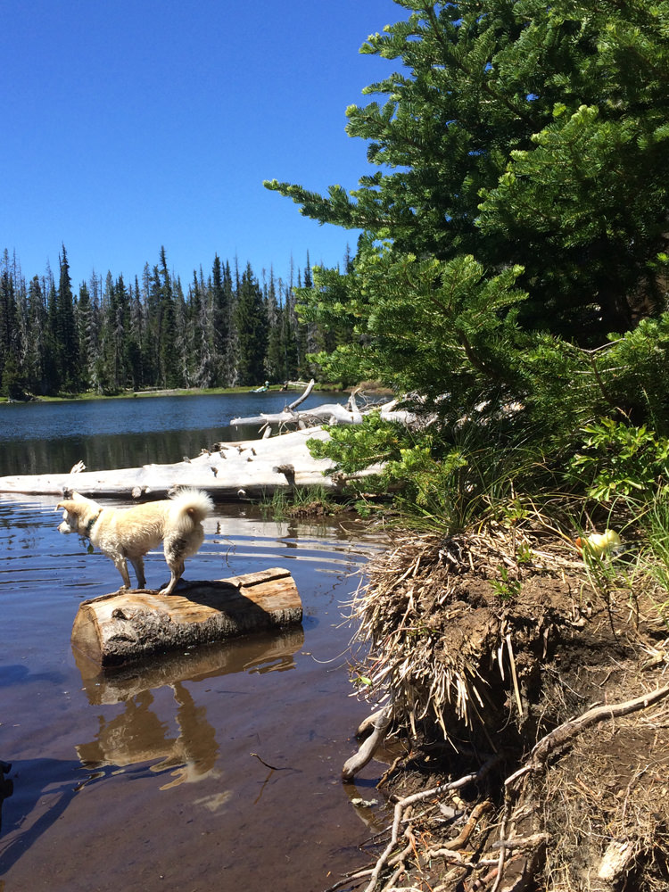 big lake campground santiam