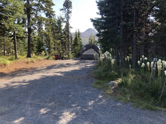Big Lake Site 39