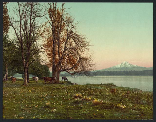 Read more about the article Mount Hood From the Columbia River, Circa 1901