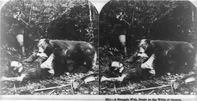 Read more about the article A struggle with bear in the wilds of Oregon