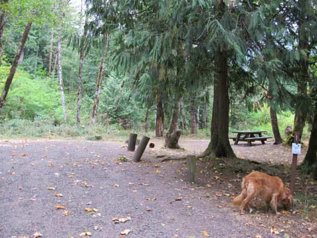 Armstrong Campground Site #1