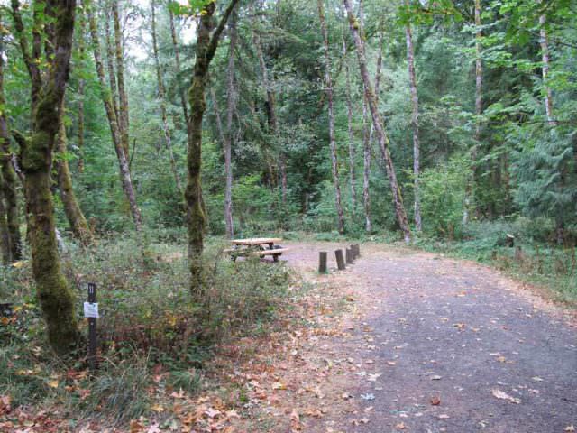 Armstrong Campground Site #11
