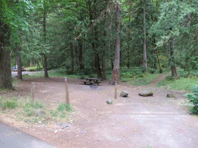 Armstrong Campground Site #5