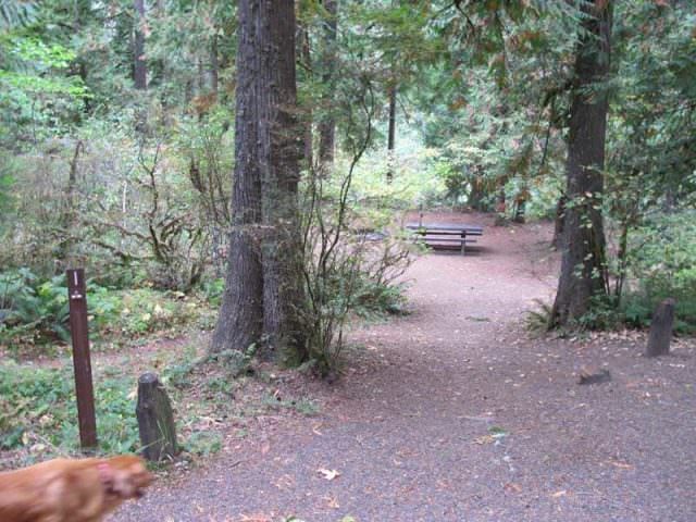 Fish Creek Campground Site#1
