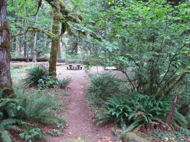Fish Creek Campground Site#10