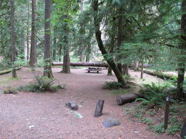 Fish Creek Campground Site#11