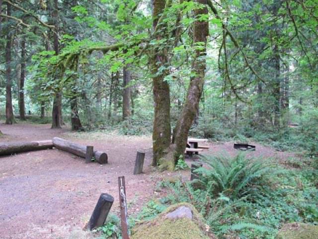 Fish Creek Campground Site#12