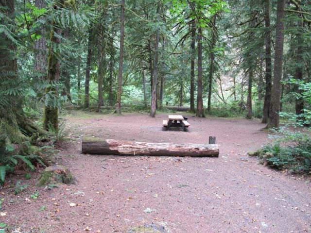 Fish Creek Campground Site#13