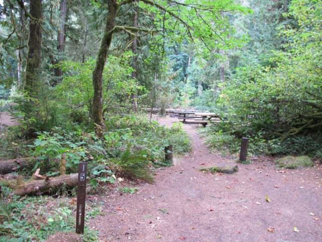 Fish Creek Campground Site#15