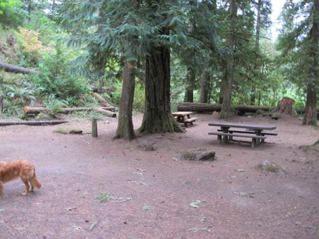 Fish Creek Campground Site#18