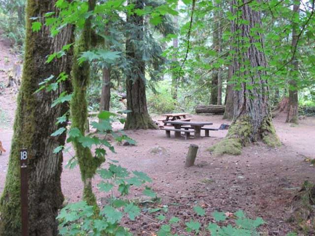Fish Creek Campground Site#18