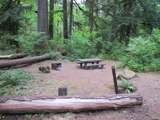 Fish Creek Campground Site#19