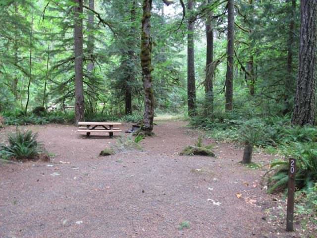 Fish Creek Campground Site#20
