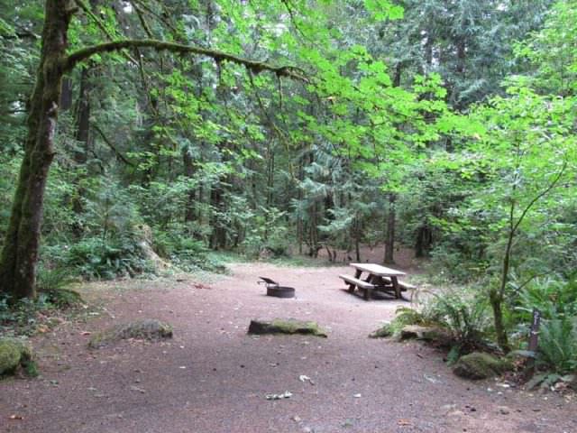 Fish Creek Campground Site#21