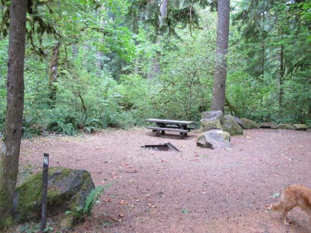 Fish Creek Campground Site#22