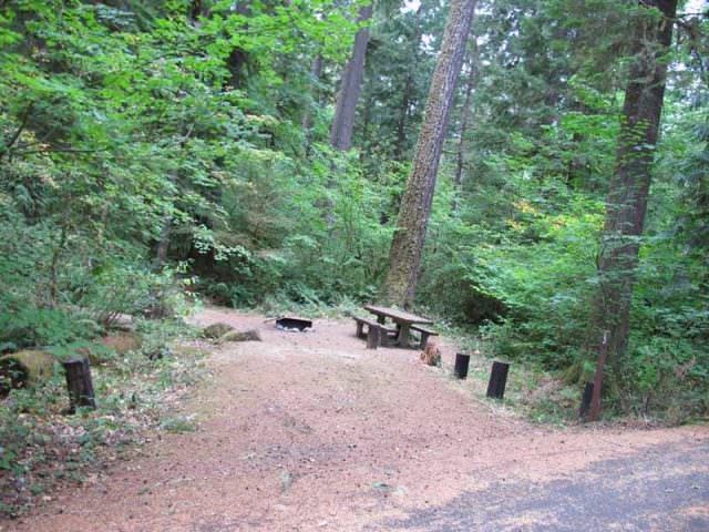 Fish Creek Campground Site#23